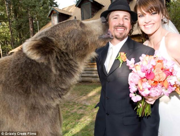 Asta chiar e tare! Ursul care măn&acirc;ncă la masă şi e cavaler de onoare la nuntă