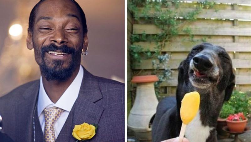 Snoop Dogg