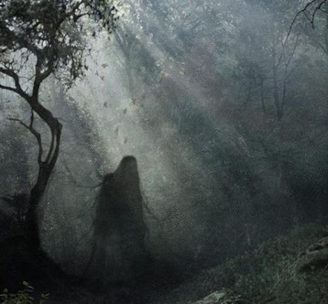 Pădurea Baciu, locul care îţi dă FIORI PE ŞIRA SPINĂRII! În inima Ardealului, fantomele şi strigoii "trăiesc" printre oameni