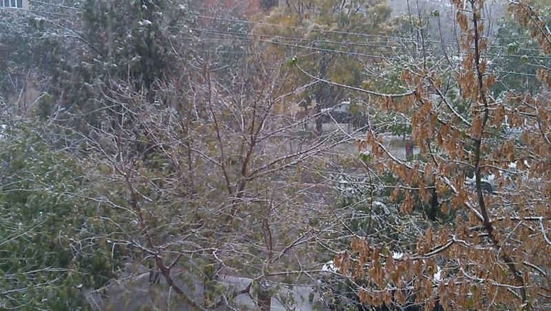 GALERIE FOTO: În luna octombrie, ninge ca-n povești! În sudul țării s-a așternut iarna!