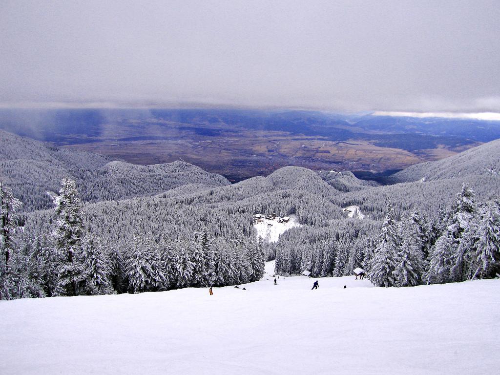 Vacanta de vis, chiar la vecinii bulgari
