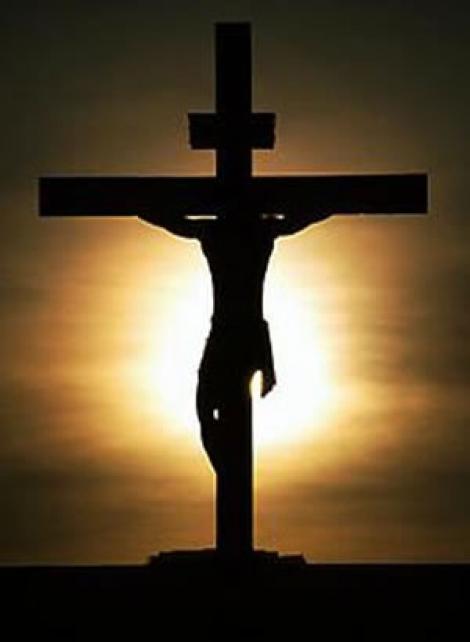 Iisus HRISTOS le-a apărut pe trunchiul copacului! Oamenii și-au făcut cruce și s-au cutremurat!