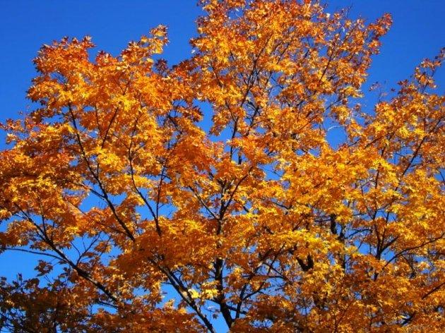 Veşti proaste de la meteorologi! Cum va fi vremea &icirc;n ultima zi a săptăm&acirc;nii