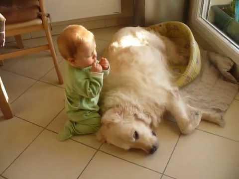 Sunt fermecători! Un bebeluș și un pui de golden retriever se joacă &icirc;n cel mai adorabil mod!