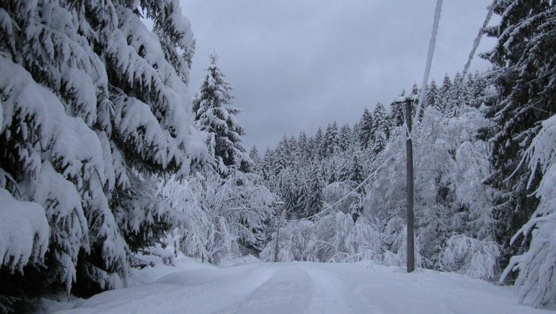 Imagini LIVE! Ninge ca în poveşti ACUM, în România! Stratul de zăpadă a atins deja 20 de centimetri