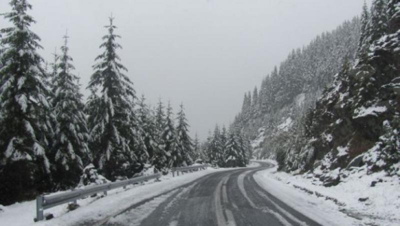 Imagini LIVE! Ninge ca în poveşti ACUM, în România! Stratul de zăpadă a atins deja 20 de centimetri