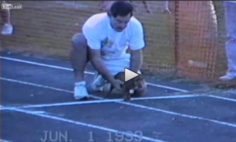 Trișor mai mare n-ai văzut! Ce face un câine pentru a ieși câștigător într-o competiție (VIDEO)