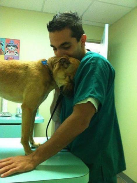 Imaginea care a smuls râuri de lacrimi! Un câine suferind face acest gest către medicul veterinar care încerca să-l salveze