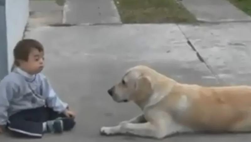 VIDEO cutremurător! Cum se poartă un câine cu un copil cu sindromul Down te va impresiona până la lacrimi! Clipul e senzaţie pe Internet!