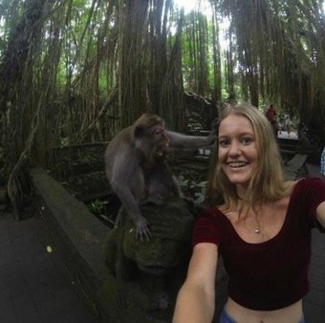 A vrut să facă un selfie cu maimuţa, dar lucrurile au luat-o razna rău de tot! Ce s-a întâmplat după te va face să râzi cu lacrimi
