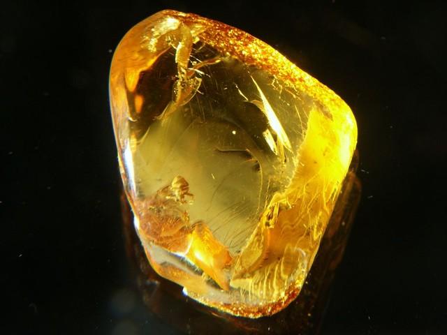 Se fac averi din chihlimbar. Rar &icirc;n lume, &icirc;ntr-un singur loc &icirc;n Rom&acirc;nia