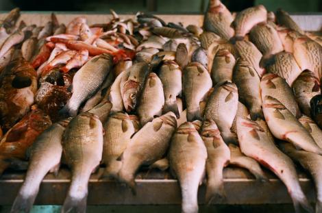 Mercurul din pește: Concentraţii nocive, efecte mortale, sfaturi utile!
