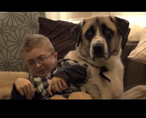 VIDEO Poveste emoţionantă! Copil grav bolnav, salvat de căţelul Haatchi