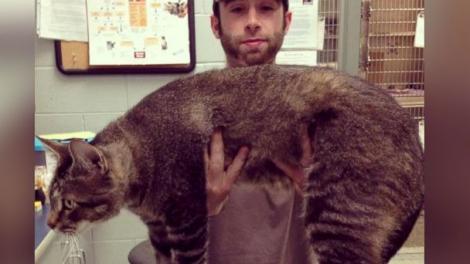 Pisca uriaşă ce c&acirc;ntăreşte c&acirc;t un c&acirc;ine şi are lungimea unui copil de 3 ani!