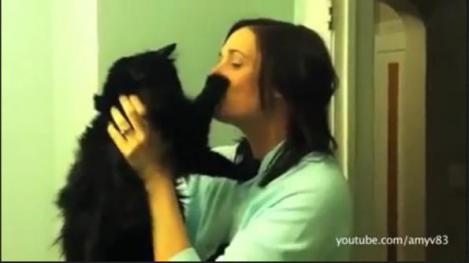 VIDEO! Patrupede cu fiţe: Câini şi pisici care refuză să fie pupaţi