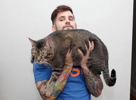 Cea mai mare pisică din lume cântăreşte aproape 10 kilograme