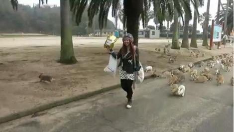 VIDEO! O turistă, fugărită de sute de iepuri pe o insulă japoneză