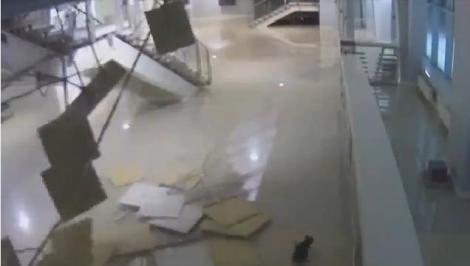 VIDEO! O pisică a distrus tavanul unei arene de la Soci