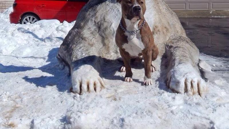 FOTO! Un pitbull uriaş, făcut din zăpadă, păzeşte curtea unor americani
