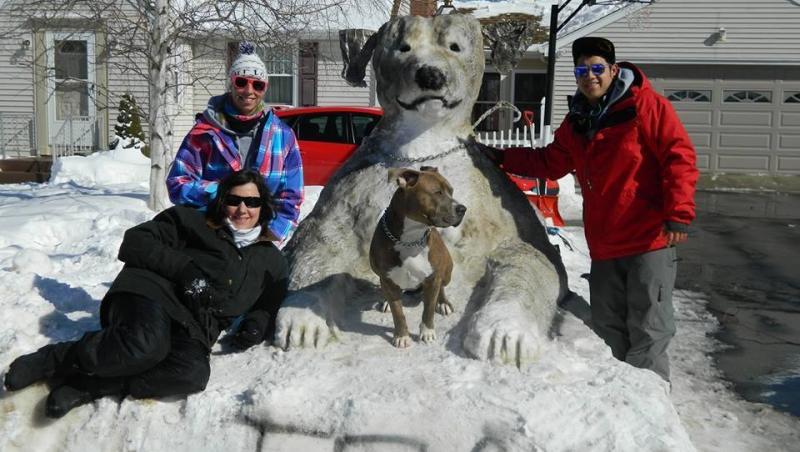 FOTO! Un pitbull uriaş, făcut din zăpadă, păzeşte curtea unor americani