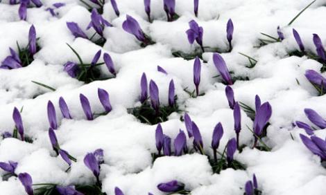 Prognoza meteo pentru week-end, în țară!