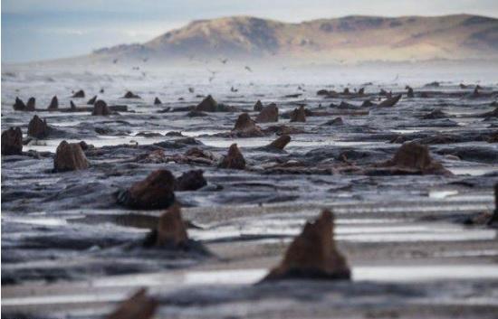 "Civilizaţia pierdută a ATLANTIDEI a ieşit la LUMINĂ". Descoperirea FABULOASĂ ce schimbă istoria