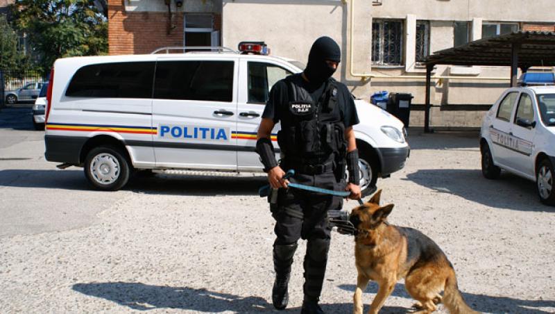 Câinii polițiști, adevărați eroi: Iată cum decurge un antrenament al patrupedelor!