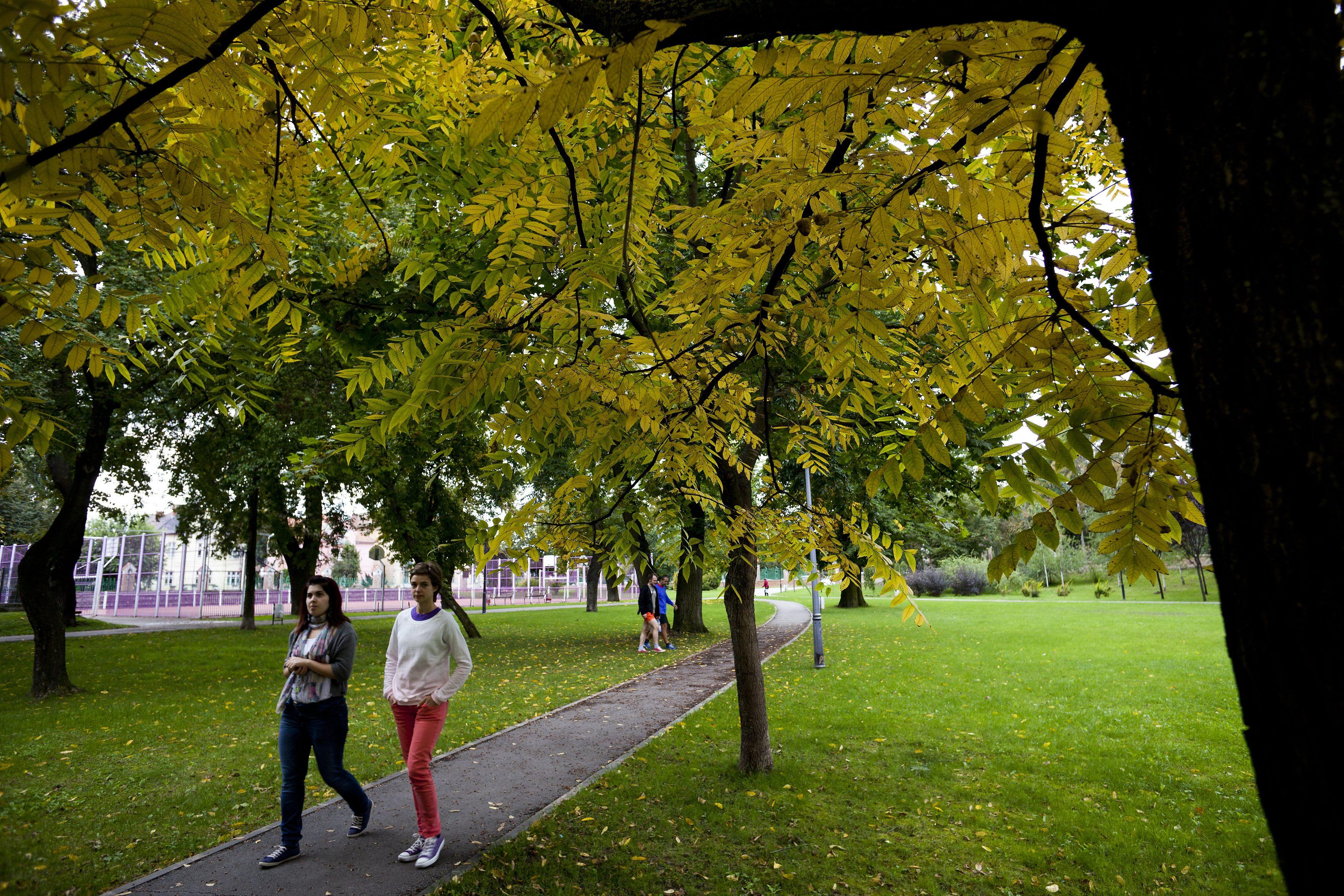 Plimbările &icirc;n ritm alert ne menţin creierul t&acirc;năr