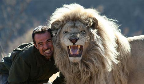 VIDEO! Vorbește limba leilor! El este bărbatul care îmbrățișează și pupă felinele fioroase pe „botic”