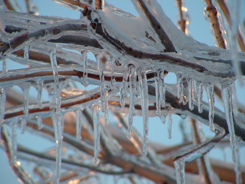 Miercurea Ciuc, Polul Nord al Rom&acirc;niei! Ce temperatură record s-a &icirc;nregistrat