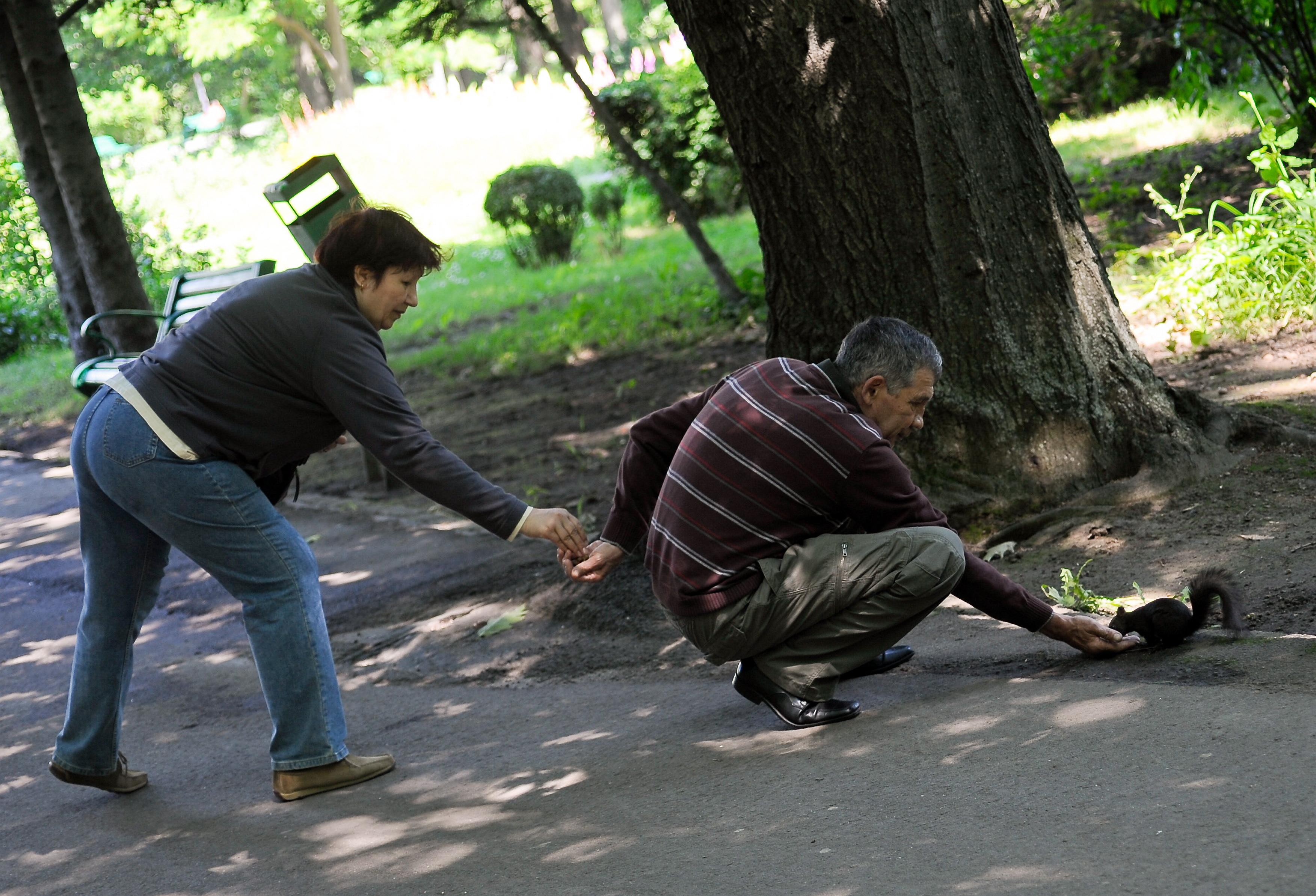 Ea de ce să nu poată? O veveriţă e prea... sportivă