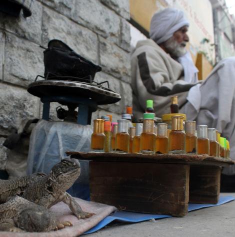 FOTO! De-a dreptul scârbos! Un pakistanez a realizat un ulei special, din șopârle