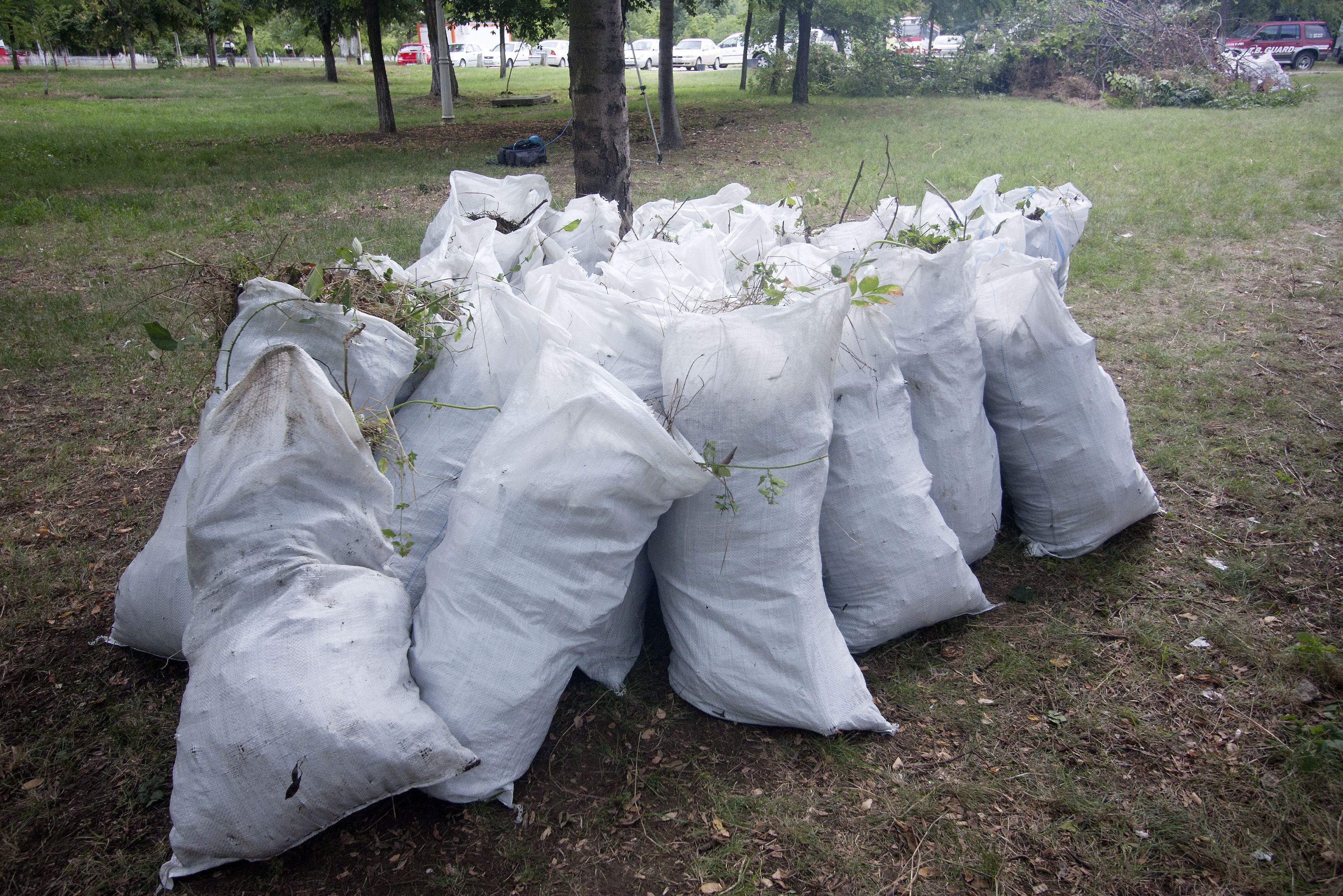 Amenzi usturătoare pentru cei care aruncă gunoiul la &icirc;nt&acirc;mplare