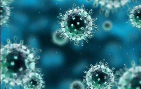 Risc de PANDEMIE. O nouă tulpină a virusului gripei aviare &icirc;i &icirc;ngrijorează pe oamenii de ştiinţă