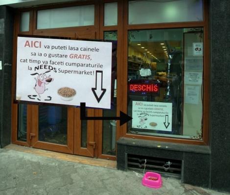 Magazin inedit, în București: Câinii mănâncă GRATIS, în timp ce stăpânii fac cumpărături!