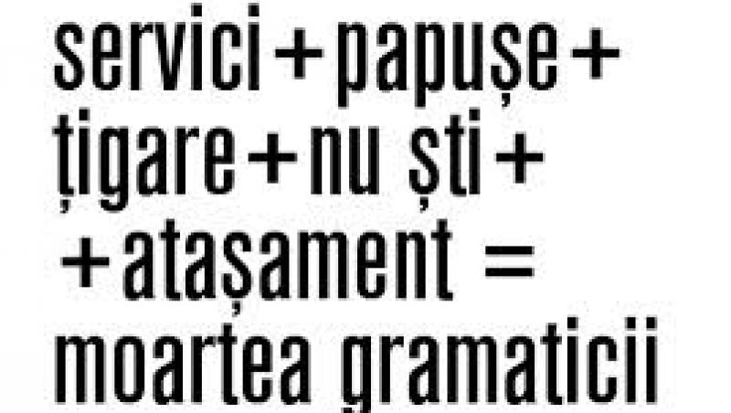 Greșeli gramaticale, de vânzare! Dicționarul Explicativ al Limbii Române, în varianta agramată!
