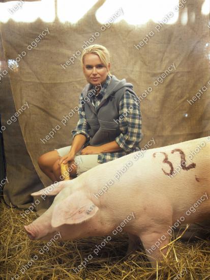 Porcul, vedeta bucatelor rom&acirc;neşti