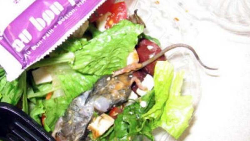 Nu mai mănânci cu zilele! BROAŞTE în salată, VIERMI în bomboane şi CAP DE GĂINĂ printre bucăţile de pui