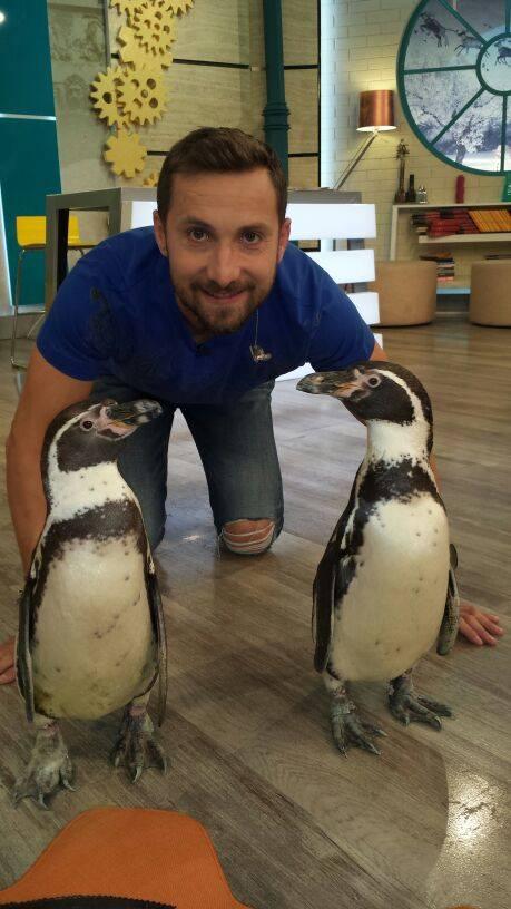 Dani Otil se alatura echipei de ambasadori Wings for Life World Run