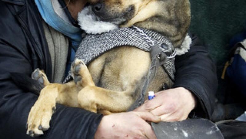 Te va lăsa fără cuvinte! 