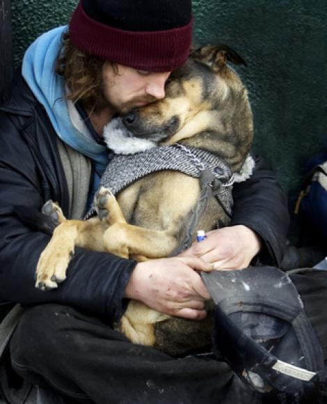 Te va lăsa fără cuvinte! "Iubire necondiţionată. Adoptă un câine", clipul care a emoţionat o lume întreagă