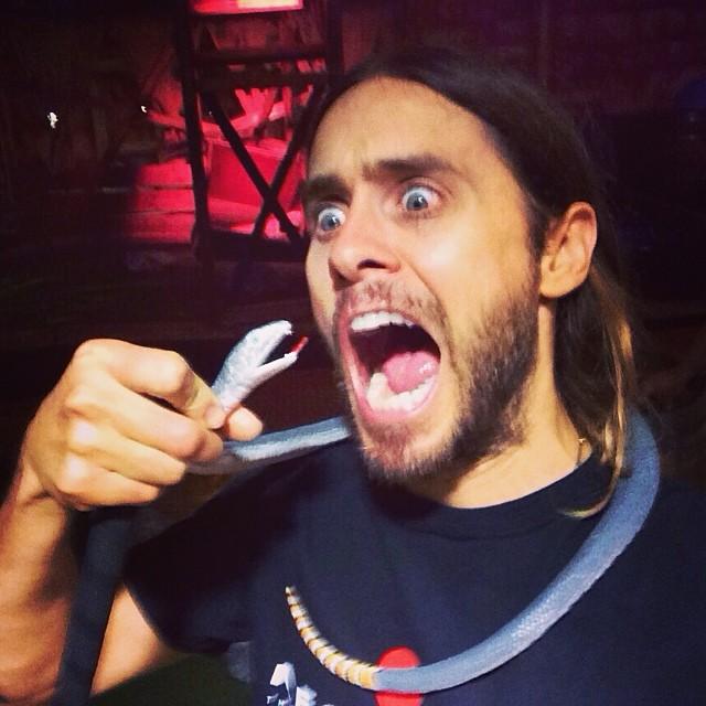 Jared Leto atacat de un ȘARPE !