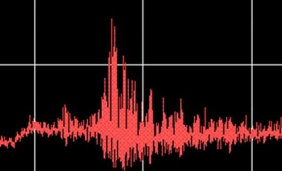 Un cutremur a avut loc &icirc;n această dimineaţă &icirc;n Vrancea