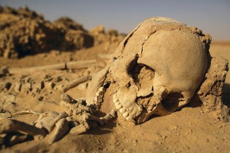 ULUITOR! Ce au descoperit în scheletul unui bărbat care a trăit acum 3.200 de ani