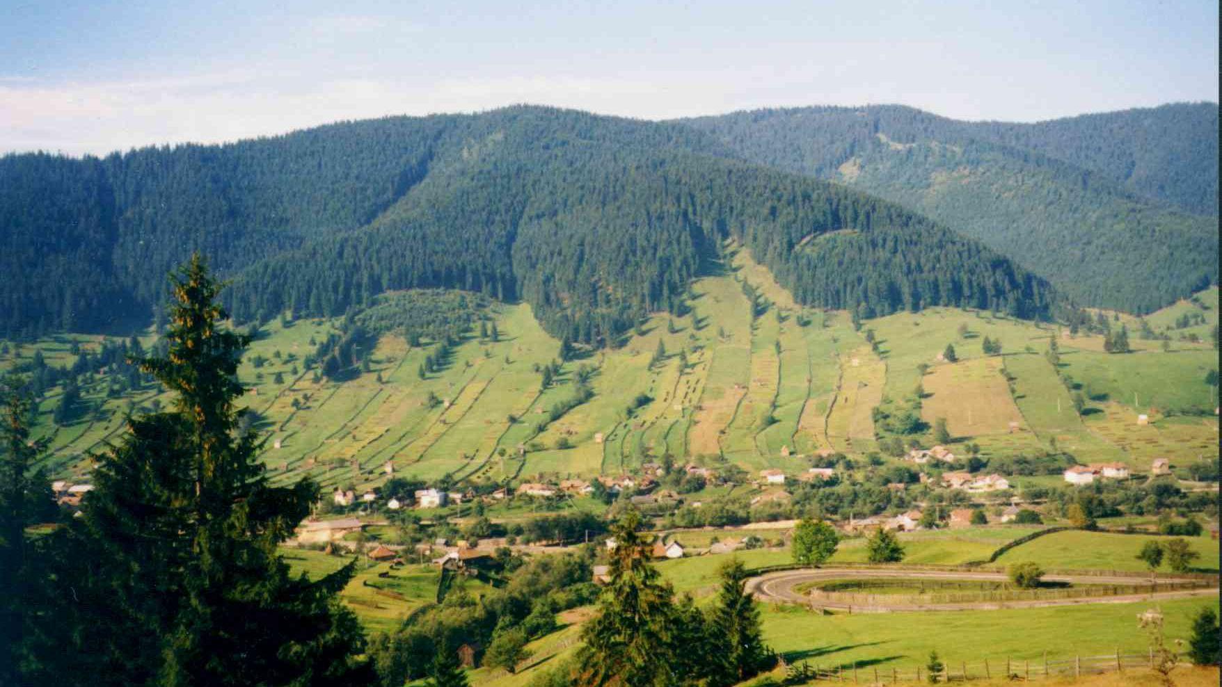 Nici carnavalul lui Mazăre nu ne mai salvează. Rom&acirc;nia a ajuns mai rău dec&acirc;t Albania!