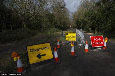 O întreagă autostradă din Marea Britanie a fost închisă, din cauza unor broaşte!