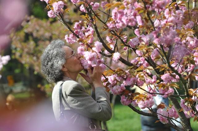 Prognoza METEO de la ANM. Cum va fi vremea &icirc;n următoarele două săptăm&acirc;ni
