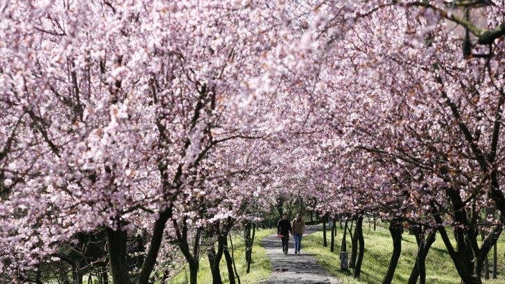 Prognoza METEO! Cum va fi vremea &icirc;n următoarele două zile
