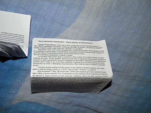 Acestea sunt copiuțele de ultimă generație