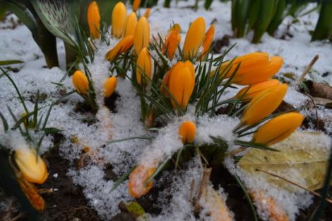 "SURPRIZA" vremii la sfârșit de martie! ANM anunță lapoviță, ninsoare și temperaturi scăzute